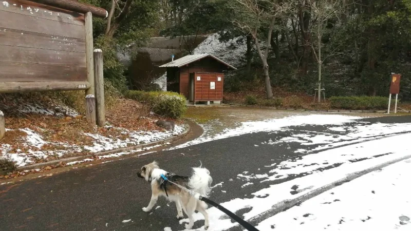 中腹のお手洗い